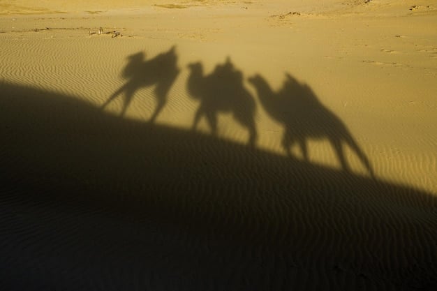 Terrorism in Africa: US National Security & Counterterrorism