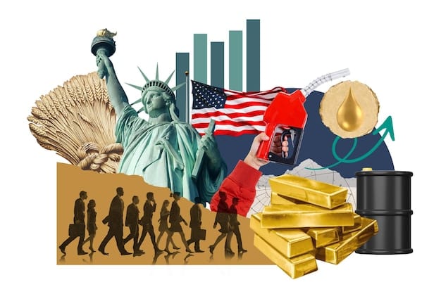 A collage showing various economic sectors in the US that rely heavily on immigrant labor, such as agriculture, technology, and healthcare. The collage should convey the diversity and importance of immigrant contributions.