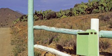 US-Mexico Border Dispute: Potential Outcomes in 2025 - Cover Image
