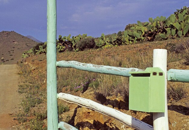 US-Mexico Border Dispute: Potential Outcomes in 2025