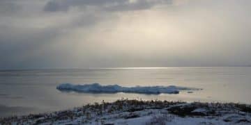 US Foreign Policy in the Arctic: Strategic Implications of Melting Ice - Cover Image