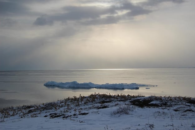 US Foreign Policy in the Arctic: Strategic Implications of Melting Ice